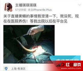 黄鳝门女主播 解压,揭秘网络直播界的压力与解压之道