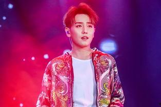 太合娱乐 旗下艺人,多才多艺，星光熠熠