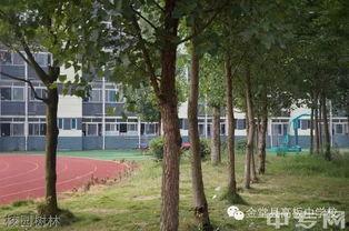 校园树林图片,漫步树林的宁静时光